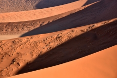 View from Dune 45, Sossusvlei