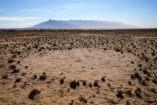 Hinter dem Feenkreis ist das mächtige Brandberg-Massiv zu sehen, was mit 2573 m Namibias größte Erhebung ist