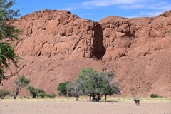 Der Tsondab-Sandstein ist bis zu 20 Millionen Jahre alt